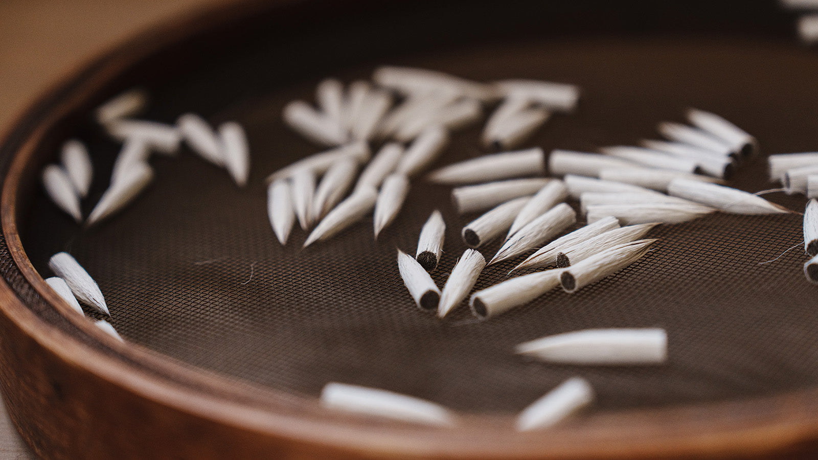 Calligraphy / Sumie without core – rimpamura